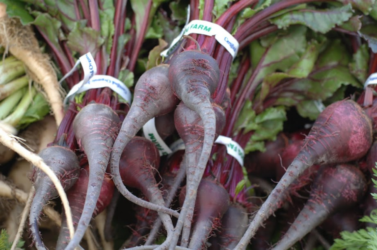 Bunch of Beets